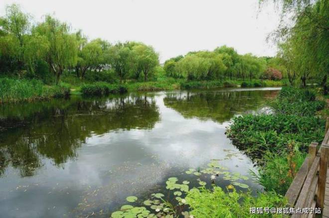 九游官网入口：杨浦天玥-(越秀·杨浦天玥)首页网站-2024年最新价格(图17)