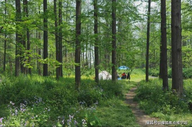 九游官网入口：杨浦天玥-(越秀·杨浦天玥)首页网站-2024年最新价格(图16)