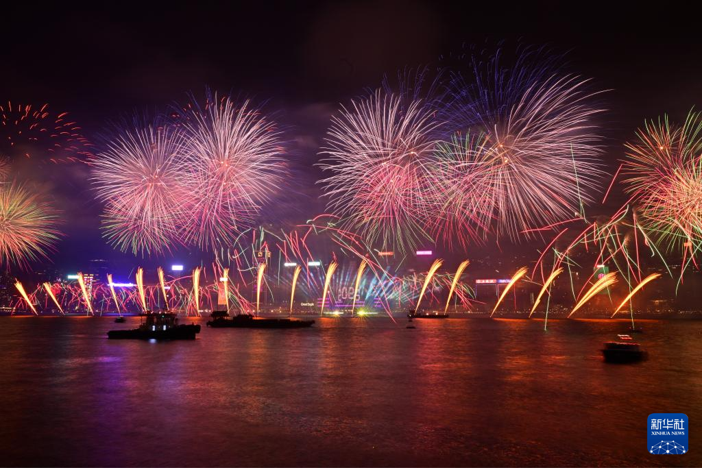 香港举行烟花汇演迎接新年(图5)
