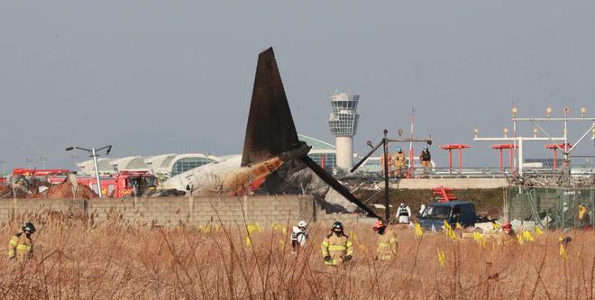 九游app：飞机起落架为何被称为“生命的支点”？