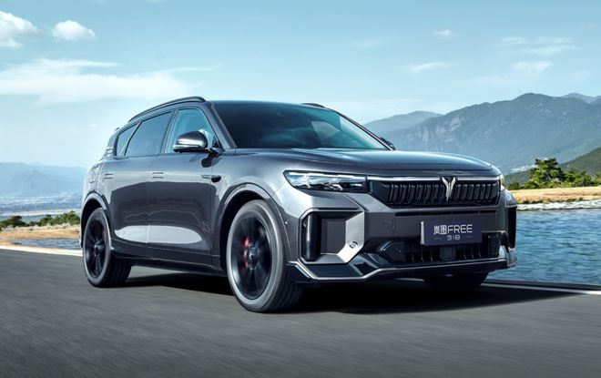 传统车企打赢高端市场 岚图汽车2024年销量引人注目(图7)