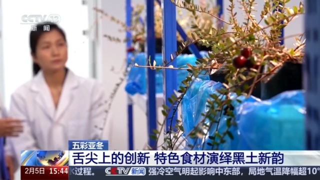 黑土地、黑科技、黑色资源 一起了解亚冬会里的黑色密码(图6)