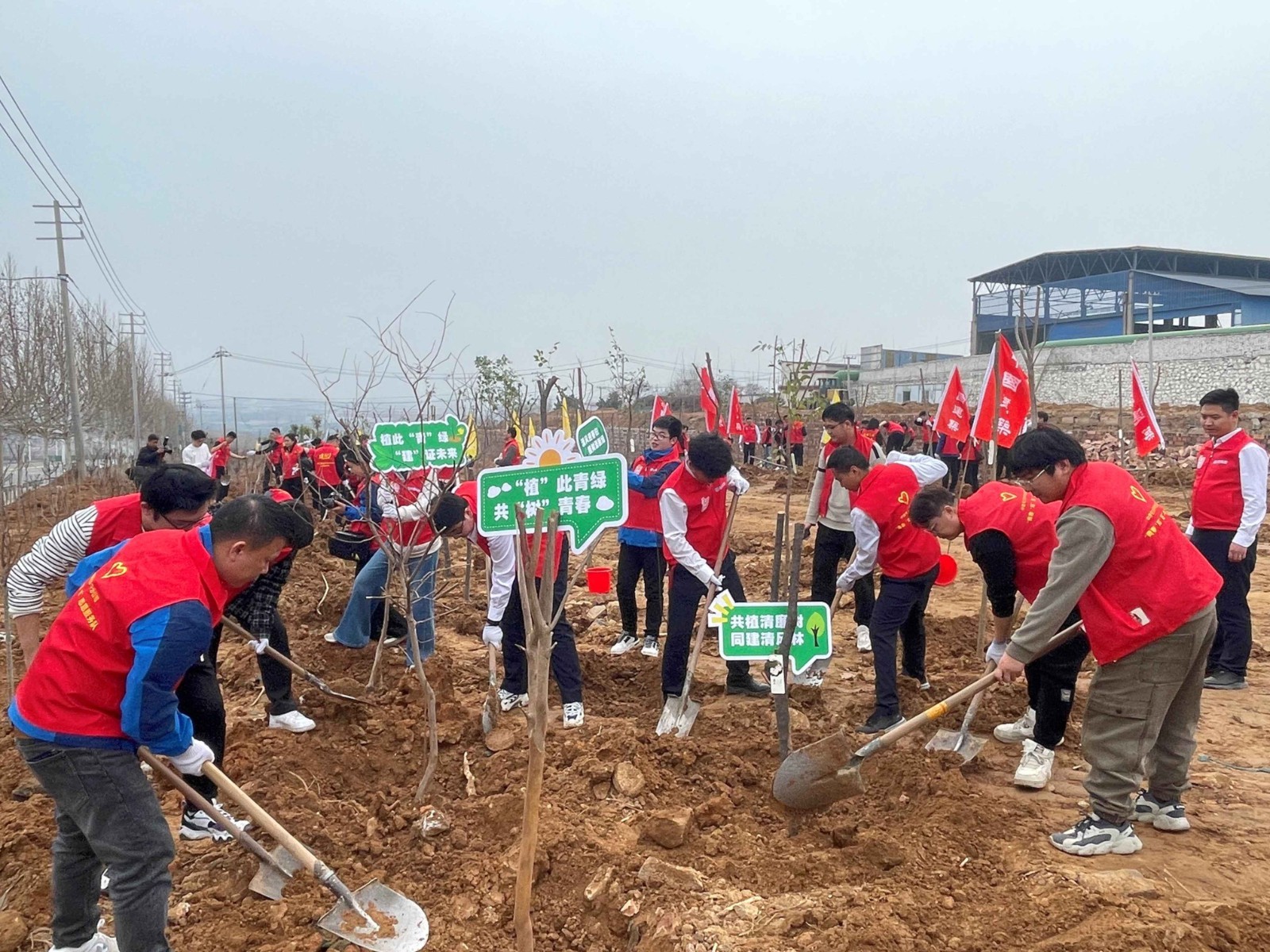 中建二局开展“植初心 种未来 植树于行 植廉于心”义务植树联建志愿活动(图4)