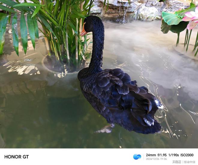 荣耀GT评测：更懂年轻人的潮流性能标杆(图36)