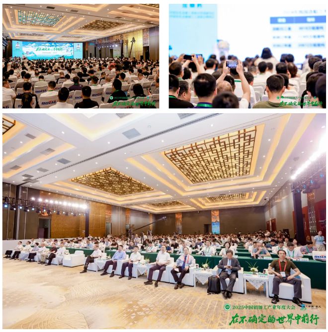 在不确定的世界寻找确定！2025中国铝加工产业年度大会隆重召开(图1)