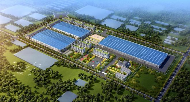 德才股份携“德才星光”门窗迎国际考察智能制造赋能全球布局