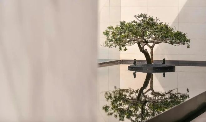 热搜好房！西派澜岸官方售楼处发布：西派澜岸 营销中心(图4)
