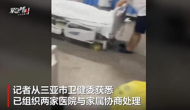 27岁女游客被蛇咬身亡！身材一绝是家中独生女肤白貌美太可惜(图15)