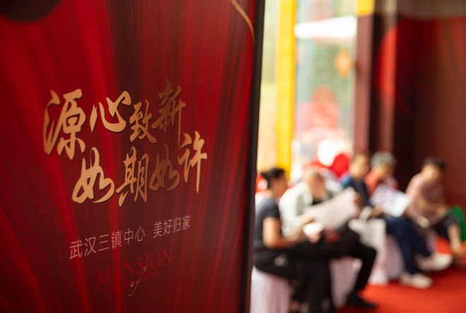 被央视多次报道的武汉 “好房子”(图3)