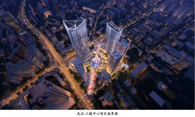 被央视多次报道的武汉 “好房子”(图9)