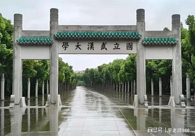 杨景媛诬告同学、威胁法官武汉大学被她拿捏住了吗？细节曝光(图9)