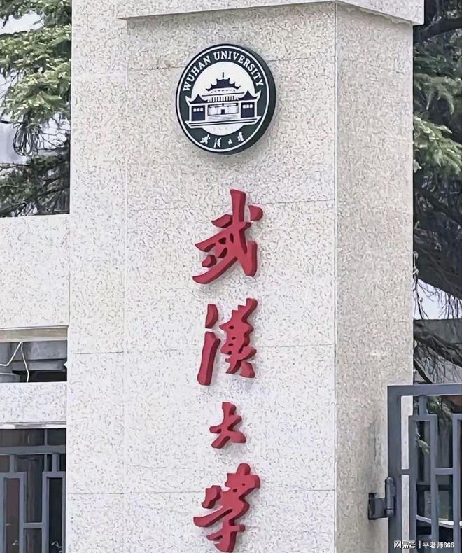 杨景媛诬告同学、威胁法官武汉大学被她拿捏住了吗？细节曝光(图2)