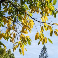 2024年专业铝材制造商排名(图4)