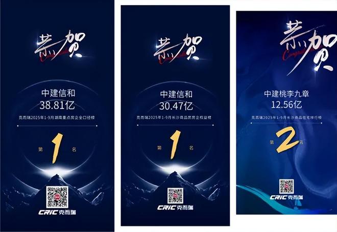 九游app：中建·博萃府：名校加持+高得房率引爆全城首开去化近95成！(图12)