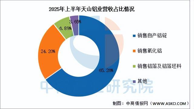 2025年中国铝型材行业市场前景预测研究报告（简版）(图16)