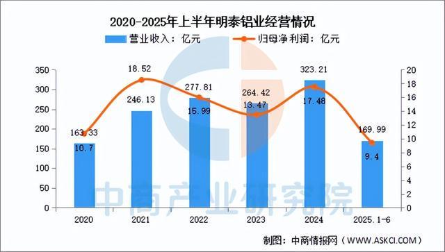 2025年中国铝型材行业市场前景预测研究报告（简版）(图13)