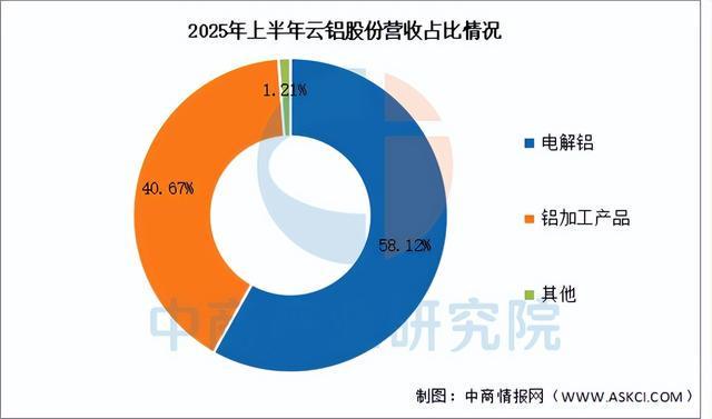 2025年中国铝型材行业市场前景预测研究报告（简版）(图10)