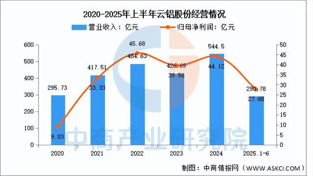 2025年中国铝型材行业市场前景预测研究报告（简版）(图9)