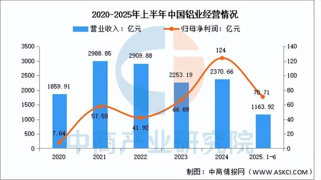 2025年中国铝型材行业市场前景预测研究报告（简版）(图8)