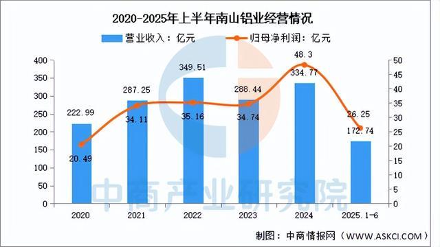 2025年中国铝型材行业市场前景预测研究报告（简版）(图11)