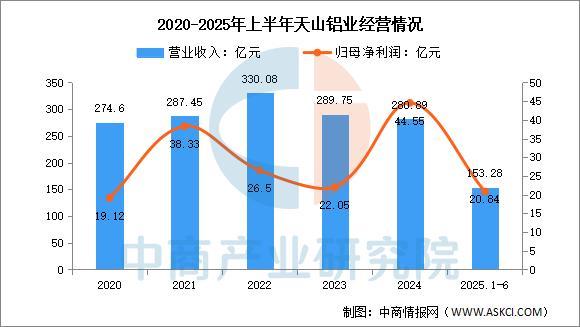 2025年中国铝型材行业市场前景预测研究报告（简版）(图15)