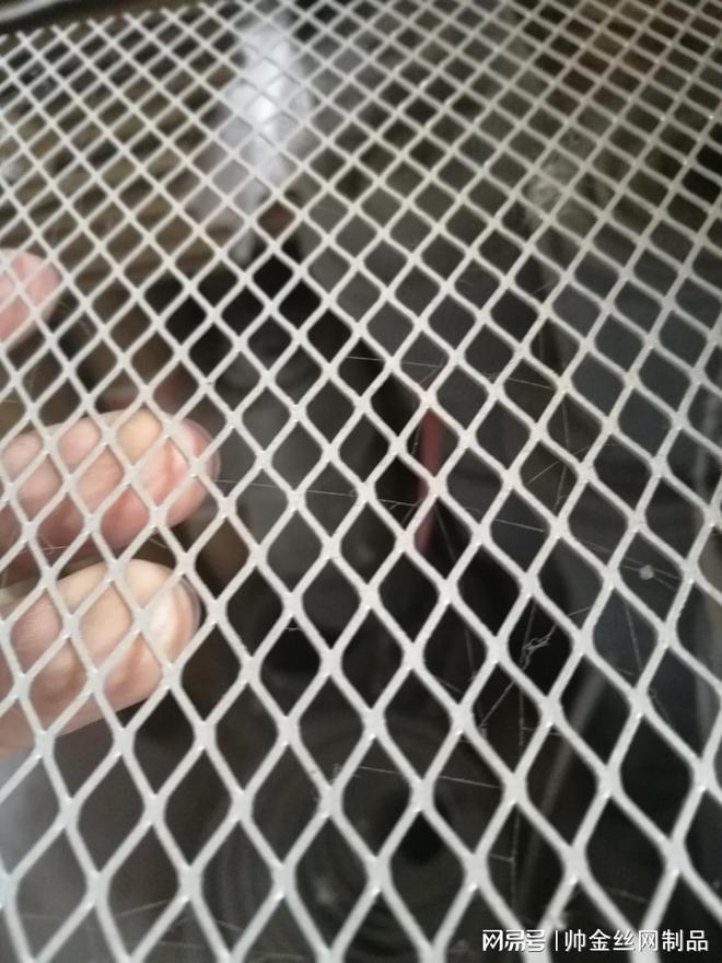 铝板网网面层：机房吸音降噪建筑幕墙装饰的轻盈铠甲(图3)