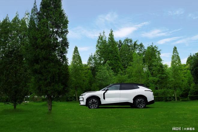 九游官网入口：领克08 EM-P进清华背后是中国汽车安全的崛起信号(图4)