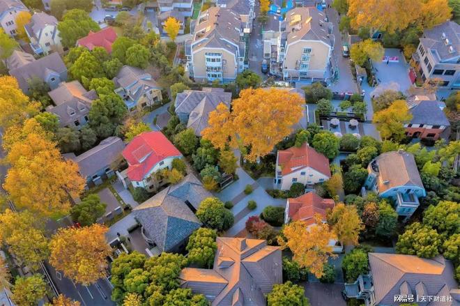 构建坚实技术内核金螳螂赋能城市焕新升级