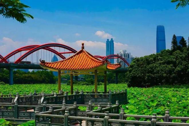 九游体育：海归特价房❄️仁恒深之源官方营销中心官方电话✅售楼处团购优惠(图10)