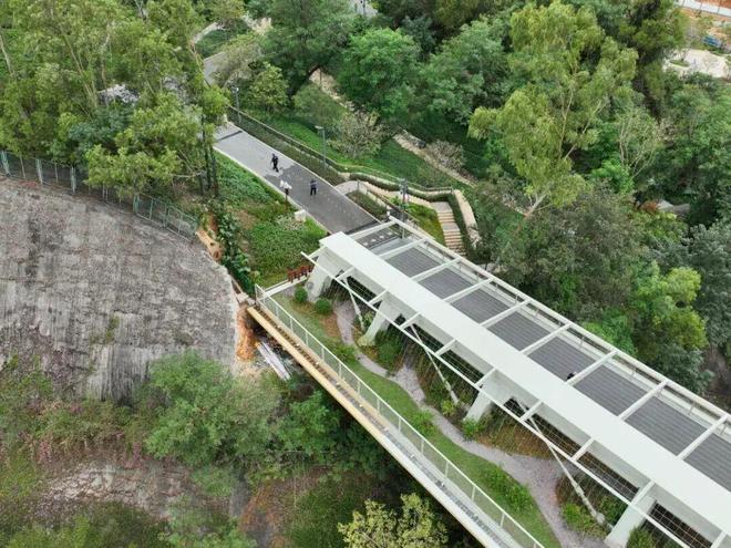 深圳罕见“赶人”画面曝光！网友：真·疯狂动物城(图2)