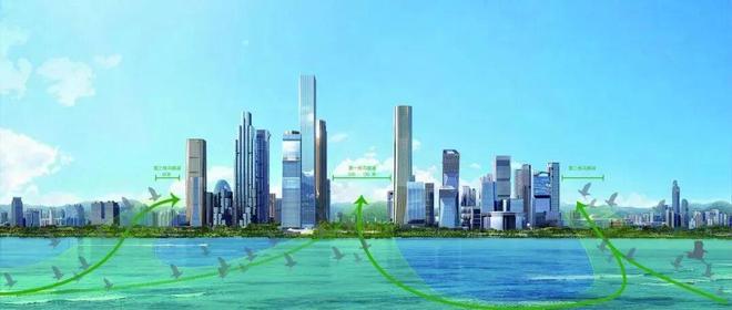 深圳罕见“赶人”画面曝光！网友：真·疯狂动物城(图4)