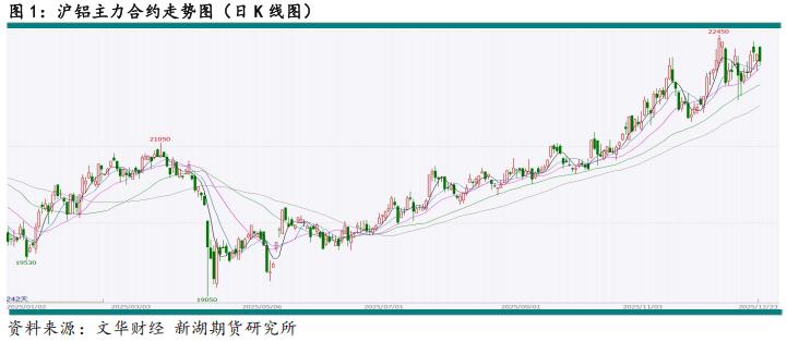 新湖期货2026铝年报：时来天地皆同力