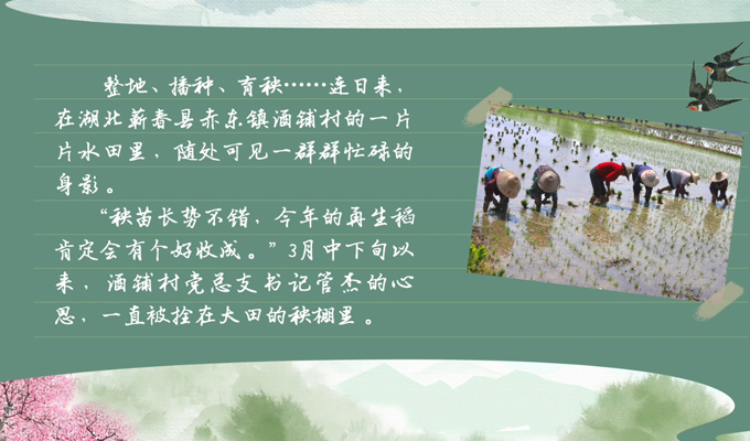 春耕时节 我们在行动_光明网