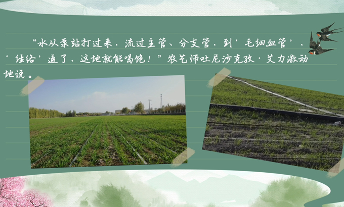 春耕时节 我们在行动_光明网(图7)