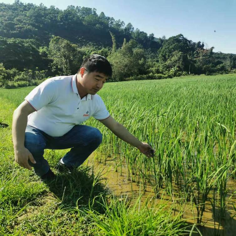 春耕时节 我们在行动_光明网(图21)