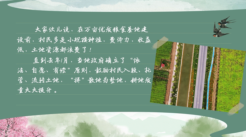 春耕时节 我们在行动_光明网(图31)