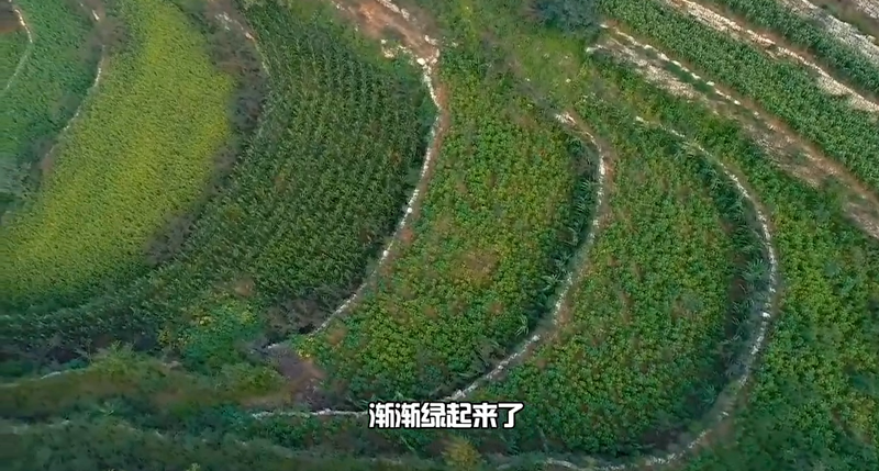 春耕时节 我们在行动_光明网(图37)