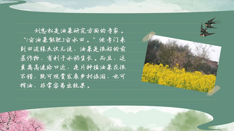 春耕时节 我们在行动_光明网(图41)