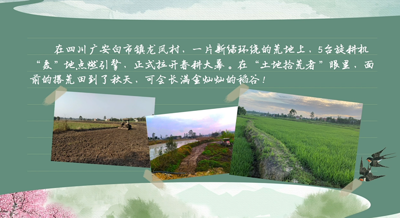 春耕时节 我们在行动_光明网(图48)