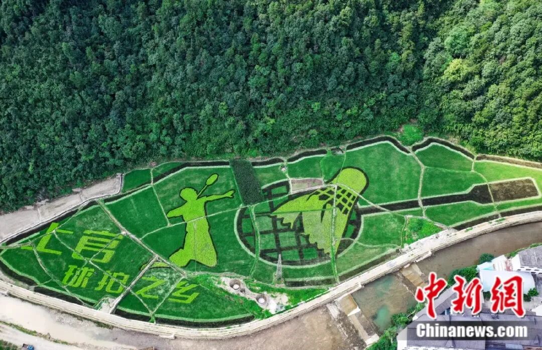 九游官网入口：富春江边的一个乡用50年把球拍做“透”了(图3)