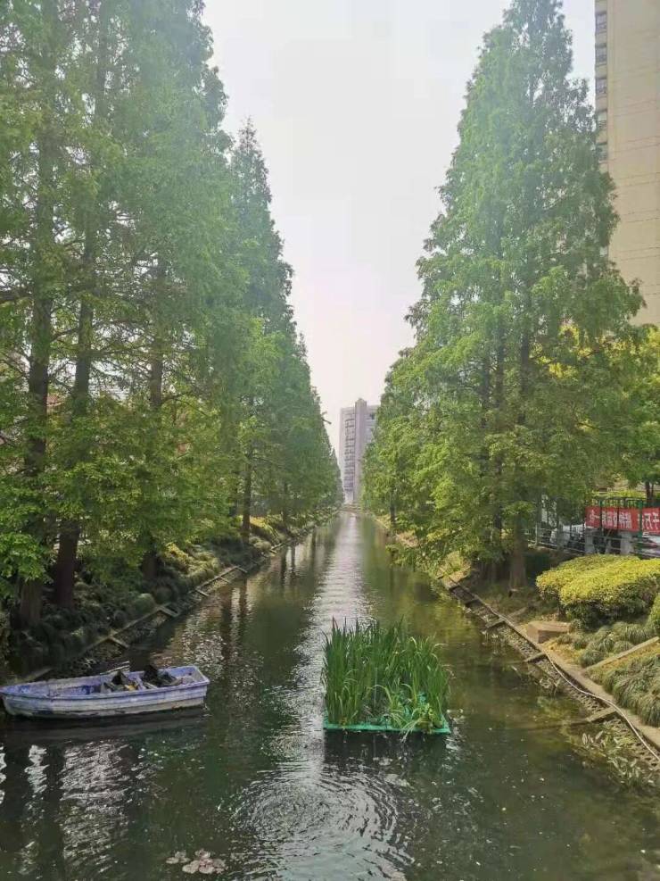 古北99官方认证售楼处电线售楼处-楼盘价格户型地址电话环境配套交房时间官方电话(图13)