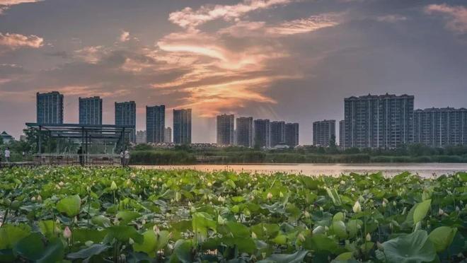 官方聚焦 虹桥嘉悦府叠墅约145㎡均价56万约1800㎡会所热销中(图9)