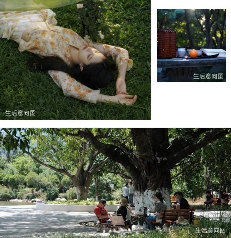 绿城沁香园【官方认证】绿城沁香园售楼处电线小时热线楼盘测评+最新房价(图16)