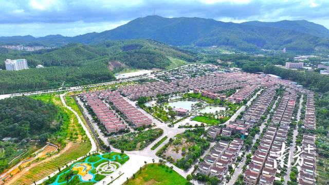 揭秘广东“亿元村”：这些村为什么比上市公司还能赚？(图7)