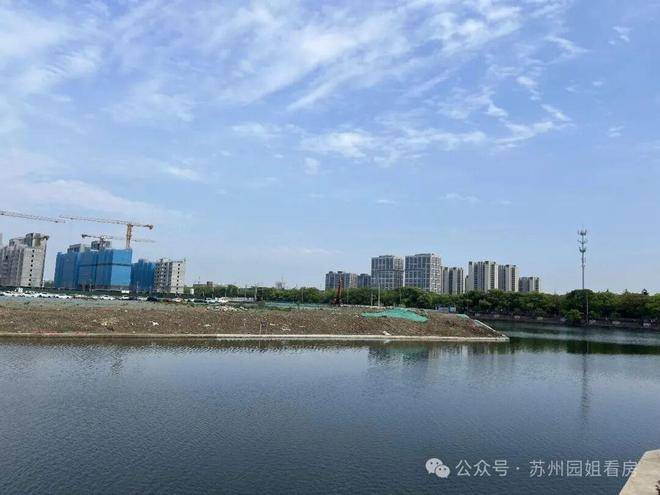 九游app：绿城沁百合(售楼处)官方网站-绿城沁百合官网销售中心-环境-户型-价格-地址-楼盘详情-配套-电话-交房时间-配套-电话(图9)