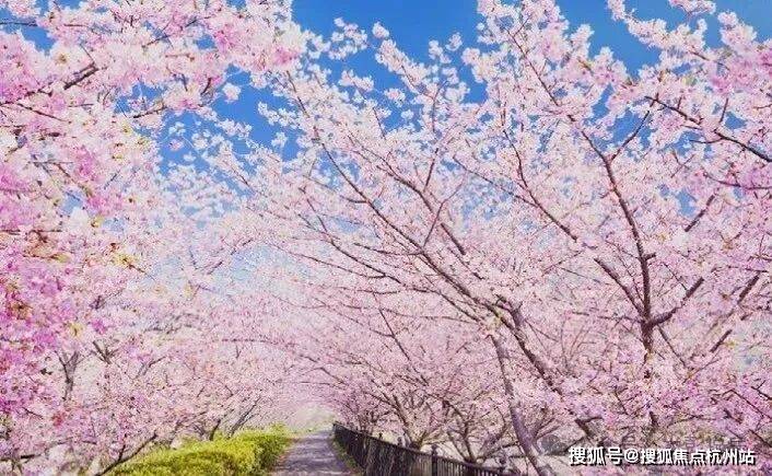 【锦绣雅著花苑官方售楼处】首页_锦绣雅著花苑营销中心欢迎您地址导航最新房价户型图容积率绿化率交房时间地铁学区配套全解析(图15)